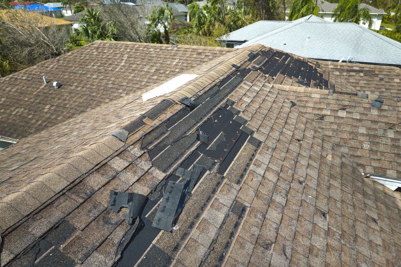 Complete Shingle Repair