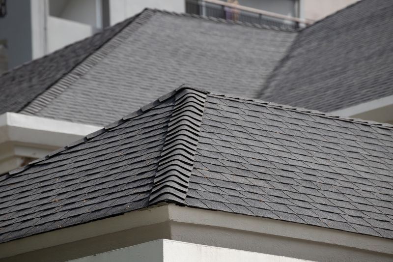 Specialized Roofing Experts